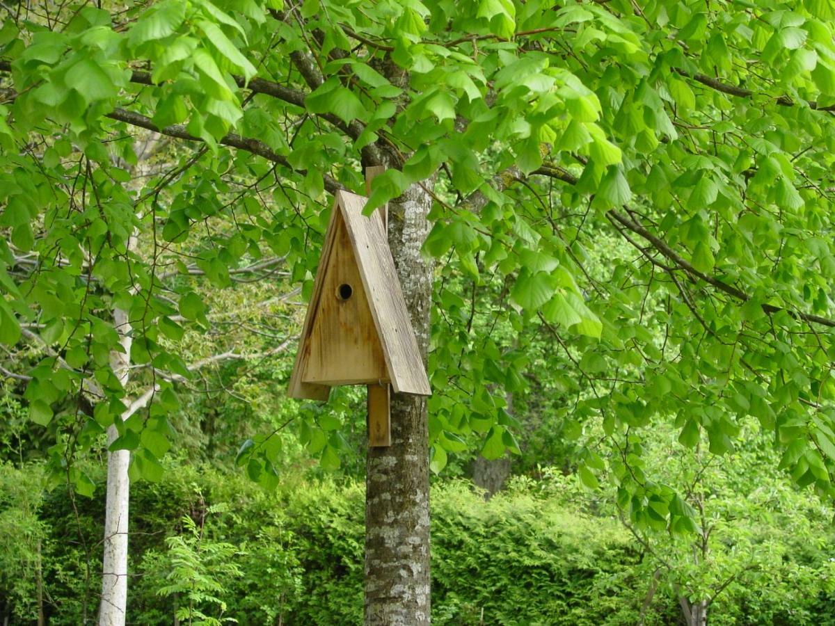 Ferienwohnung Geismayr Dornbirn Luaran gambar